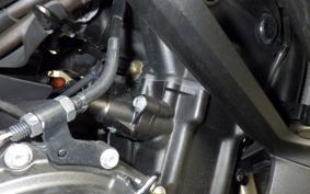HONDA CBR400R 2024 NC65