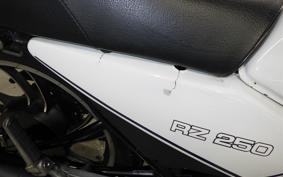 YAMAHA RZ 250 2025 4L3