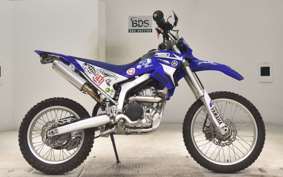 YAMAHA WR250R 2022 DG15J