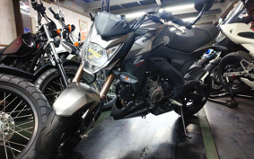 KAWASAKI Z125 PRO BR125H
