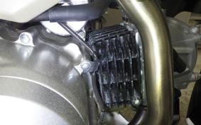 HONDA CT125 HUNTER CUB 2017 JA55