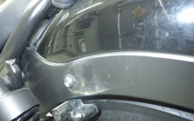 HONDA REBEL 250 2007 MC49