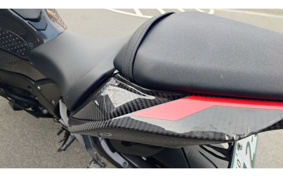 KAWASAKI NINJA ZX-10R 2023 ZXT02L
