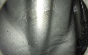 SUZUKI GSX250E 2017 GS25X