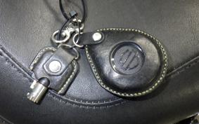 HARLEY FLSS 1800 2017