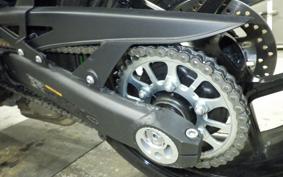 KAWASAKI NINJA 1000SX 2024 ZXT02K