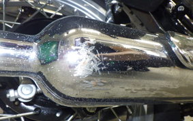 KAWASAKI W800 2017 EJ800A