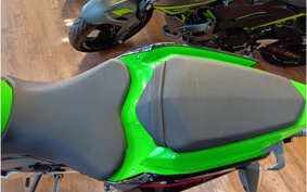 KAWASAKI NINJA 400 KRT ED 2020 EX400G