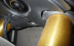 DUCATI 1199 PANIGALE S 2012