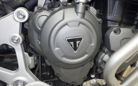 TRIUMPH TIGER1200GTEX 2024