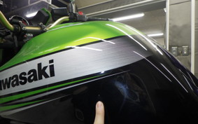 KAWASAKI ZRX1200 D 2010 ZRT20D