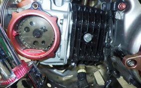 HONDA CT125 HUNTER CUB JA55