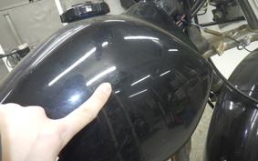 HONDA FTR223 1996 MC34