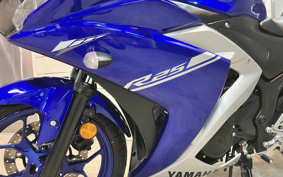 YAMAHA YZF-R25 RG10J