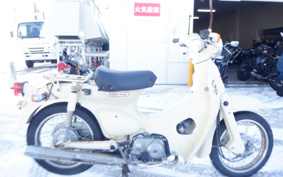 HONDA LITTLE CUB AA01