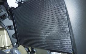 SUZUKI DL650 ( V-Strom 650 ) XTA 2025 C733M