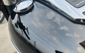 HARLEY FLSB 2019 YMJ