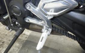 TRIUMPH TRIDENT 660 2024