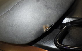 HONDA TACT-4ﾍﾞｰｼｯｸ 2025 AF79