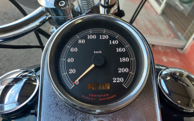 HARLEY FLSTC 2001 BJY