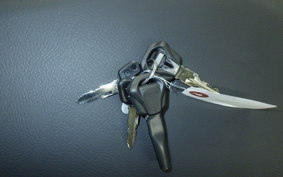 TRIUMPH SPEED TWIN 900 2025