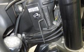 YAMAHA WR250X 2014 DG15J