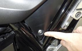 YAMAHA XJR1300 Gen.2 2009 RP17J