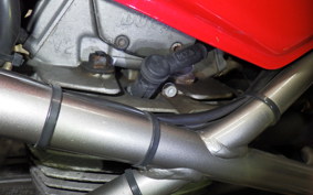 DUCATI MONSTER 900 IE 2002