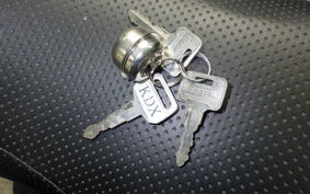 KAWASAKI KDX250SR 2013 DX250F