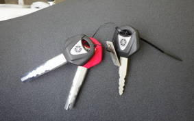 YAMAHA XSR900 GP 2024