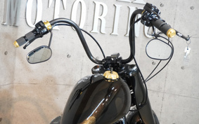 HARLEY FXDL 2009 GN4