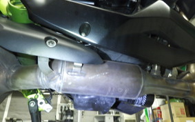 KAWASAKI Z900 Gen.2 2021
