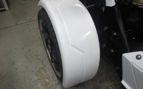 OTHER UNREGISTERED MODEL by BDS TRIKE250