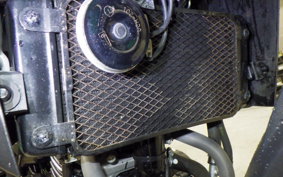 SUZUKI Vｽﾄﾛｰﾑ250A 2022