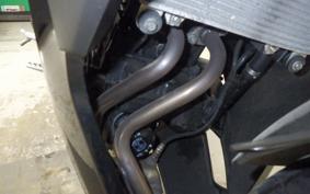 KAWASAKI NINJA 250 EX250L