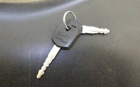 KAWASAKI NINJA 250 EX250L