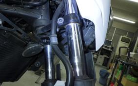 KAWASAKI Z250 ER250C