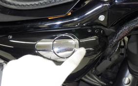HARLEY XL1200X 2017
