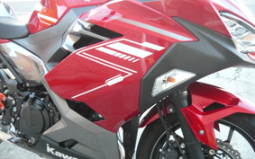 KAWASAKI NINJA 250 EX250P