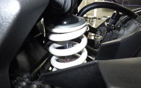 KAWASAKI NINJA 250 SL