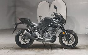 YAMAHA MT-25 RG95J