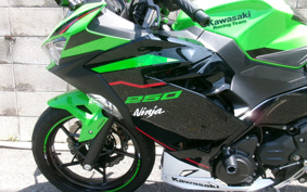 KAWASAKI NINJA 250 KRT ED EX250P