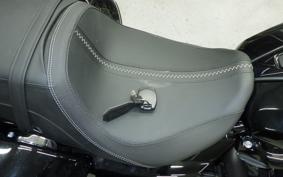 HARLEY FLTRX1920 2024