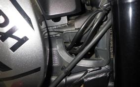 TRIUMPH TRIDENT 660 2023