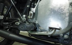 KAWASAKI Z900 2024 Z1F