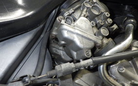 HONDA HORNET 250 2025 MC31