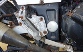 KAWASAKI GPX250R 2024 EX250E