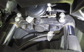 YAMAHA CYGNUSｸﾞﾘﾌｧｽ SEJ4J