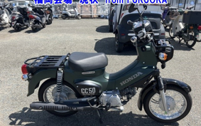 OTHER  CROSS  CUB 50