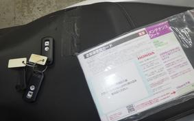 HONDA PCX 125 2008 JF81